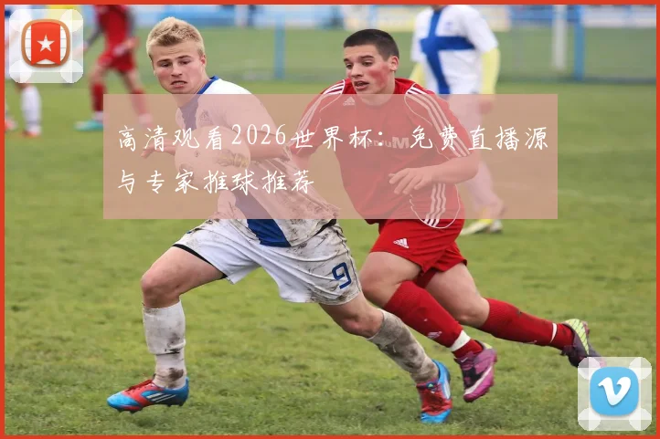 高清观看2026世界杯：免费直播源与专家推球推荐