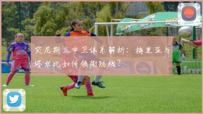 突尼斯三中卫体系解析:梅里亚与塔尔比如何领衔防线?