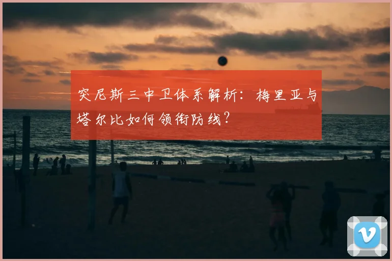 突尼斯三中卫体系解析：梅里亚与塔尔比如何领衔防线？